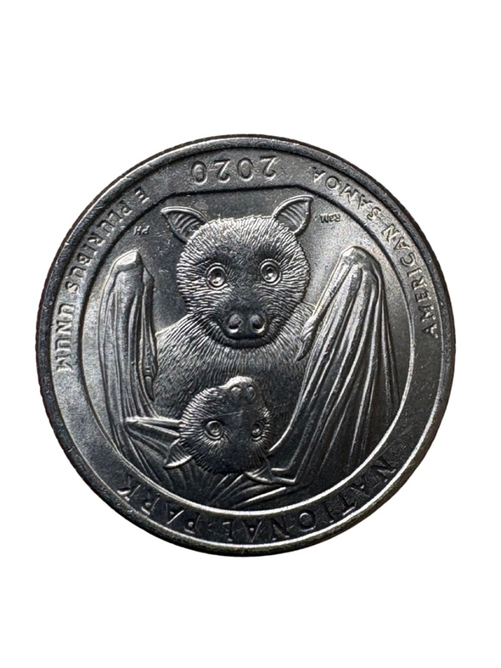 RARE 2020 National Park of American Samoa Bat Quarter